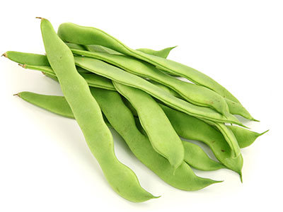 四季豆