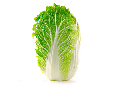 大白菜